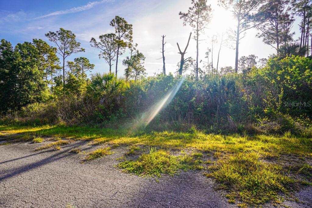 BLUELEAF DR, NORTH PORT, FL, 34288