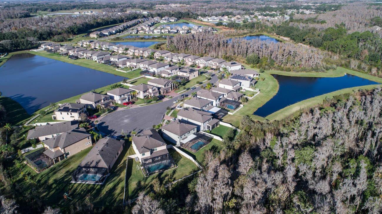 19546 WHISPERING BROOK DR, TAMPA, FL, 33647