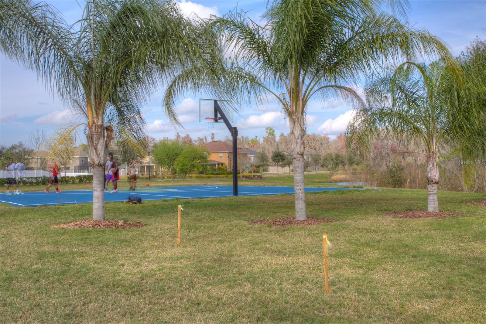 19546 WHISPERING BROOK DR, TAMPA, FL, 33647