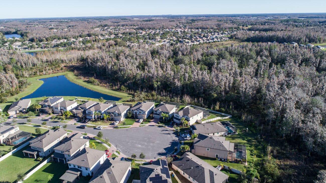 19546 WHISPERING BROOK DR, TAMPA, FL, 33647