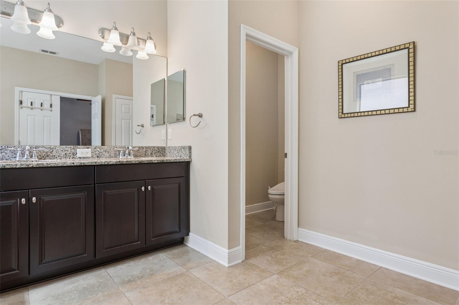 19546 WHISPERING BROOK DR, TAMPA, FL, 33647