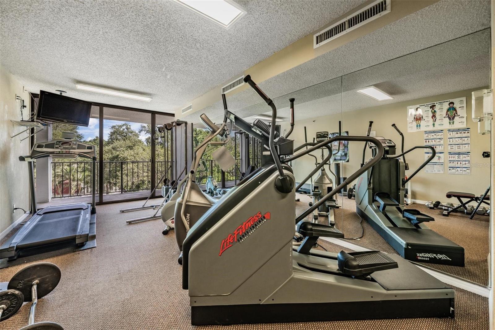 3211 W SWANN AVE #707, TAMPA, FL, 33609