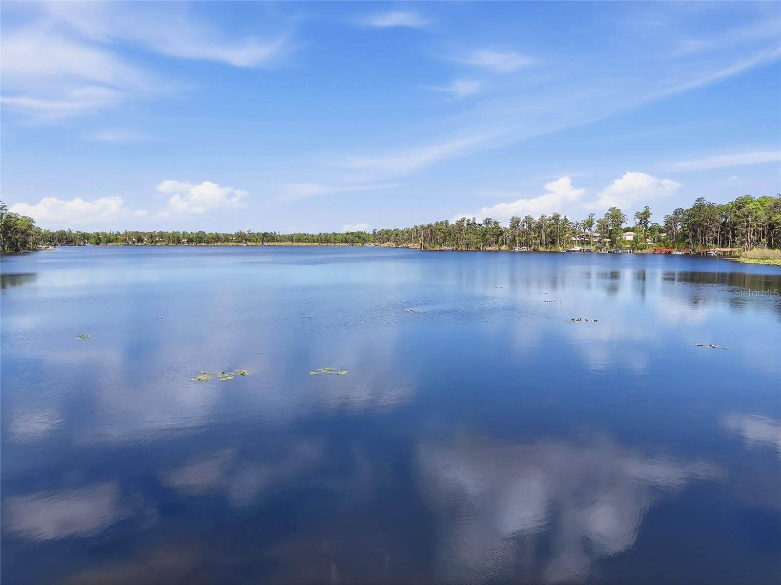 11403 BIDDEFORD PL, NEW PORT RICHEY, FL, 34654