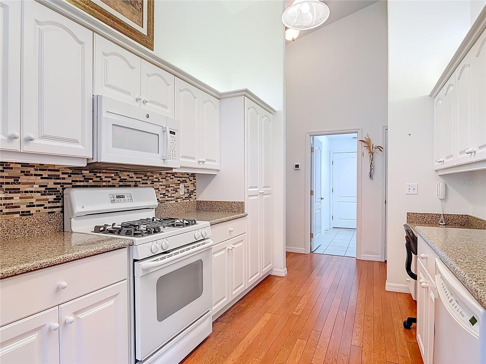 1858 TURNBULL LAKES DR, NEW SMYRNA BEACH, FL, 32168