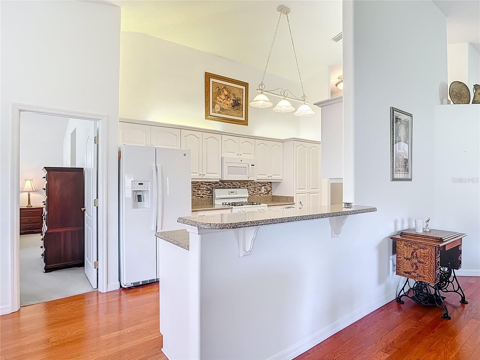 1858 TURNBULL LAKES DR, NEW SMYRNA BEACH, FL, 32168