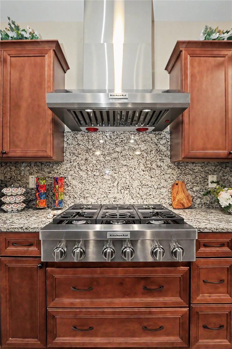 9694 SW 79TH LOOP, OCALA, FL, 34481