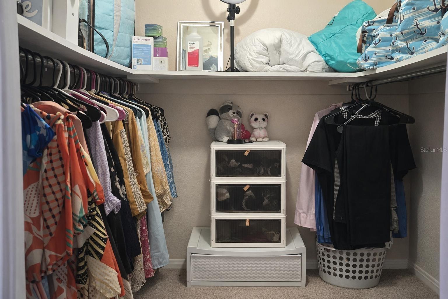 1910 LITHIA PINECREST RD, VALRICO, FL, 33596