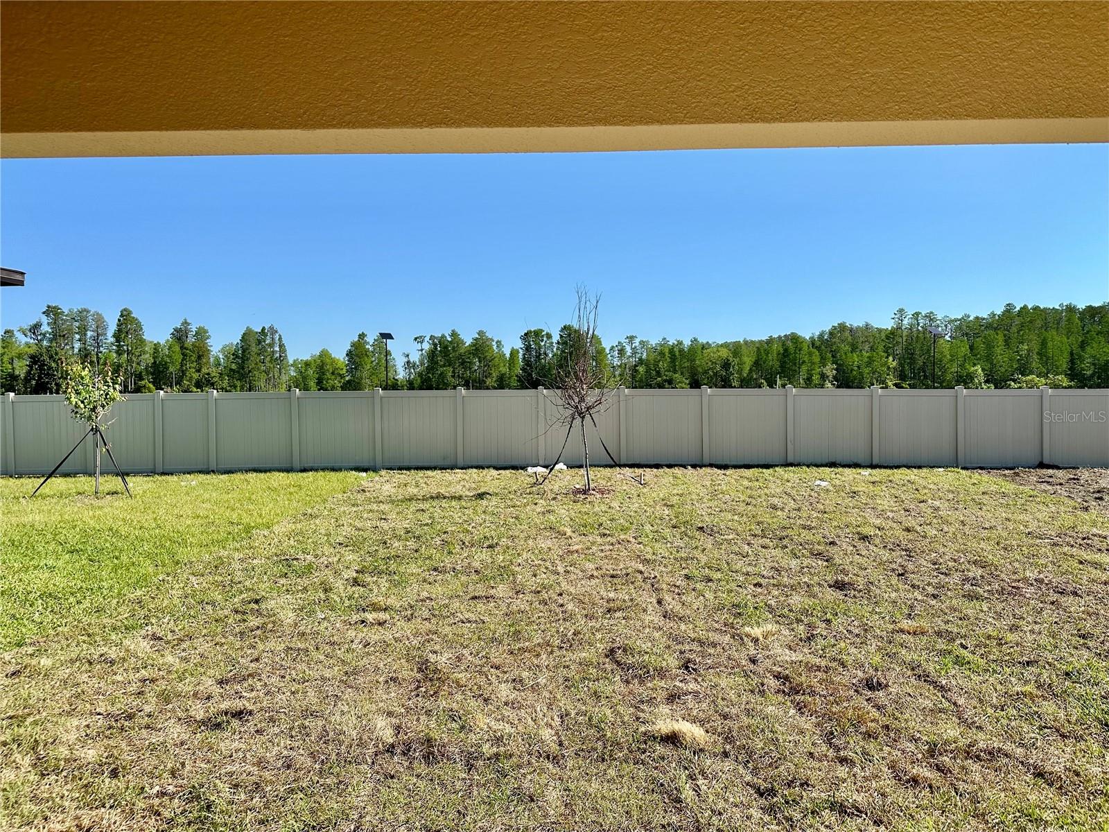 17761 PLEASANTVIEW BLVD, LAND O LAKES, FL, 34638