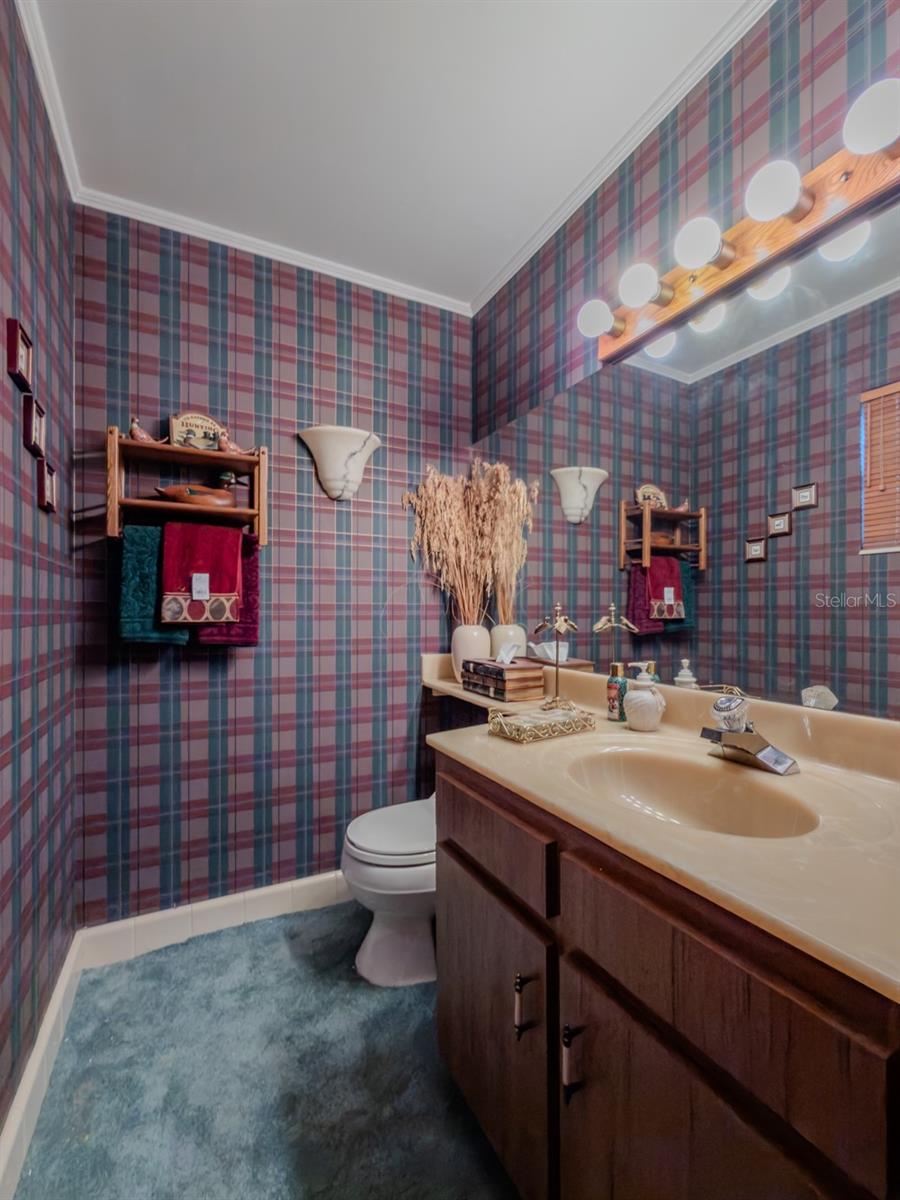 805 E SYLVAN DR, BRANDON, FL, 33510