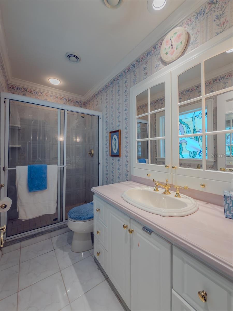 805 E SYLVAN DR, BRANDON, FL, 33510