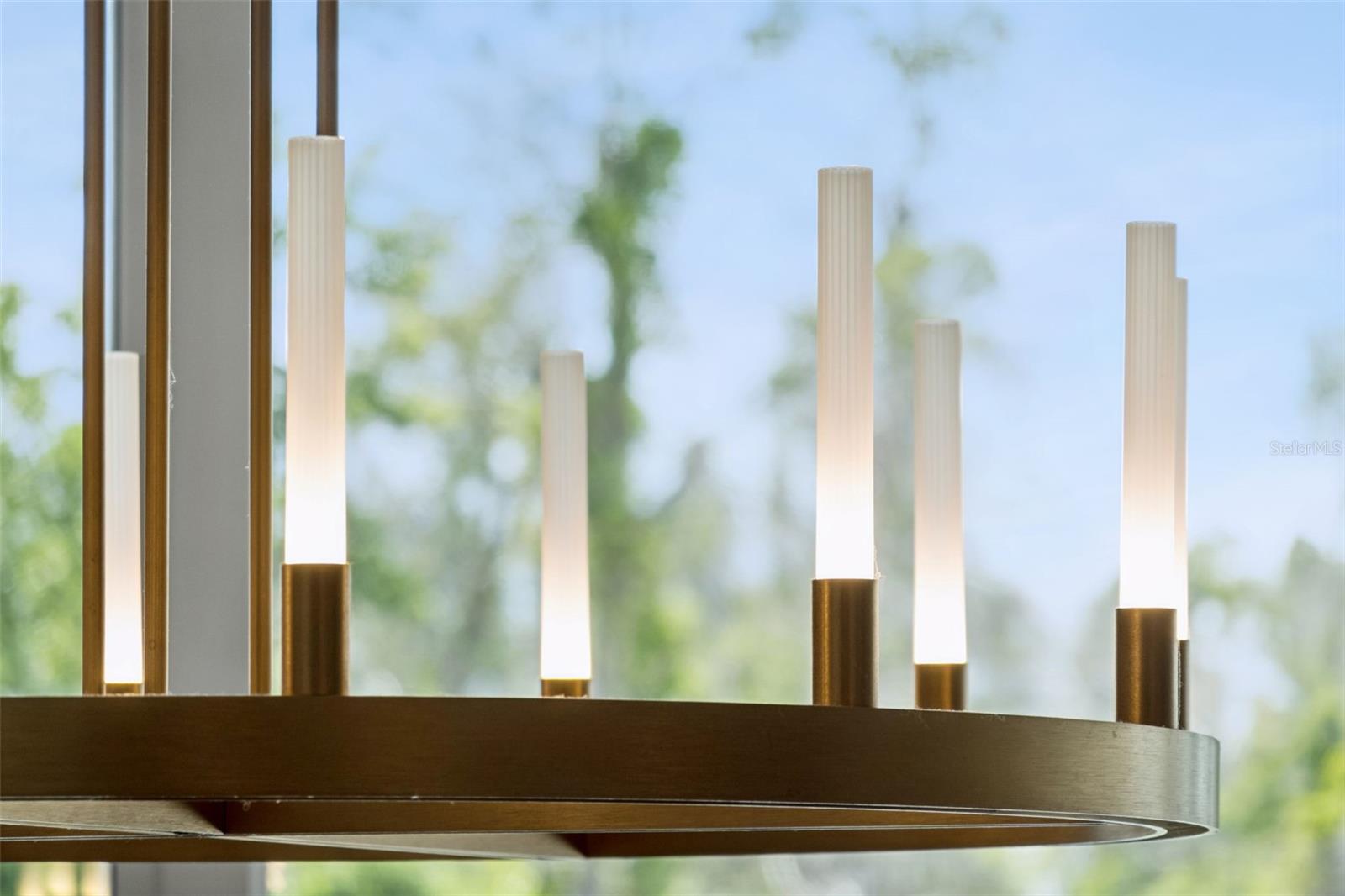 15220 PENDIO DR, BELLA COLLINA, FL, 34756