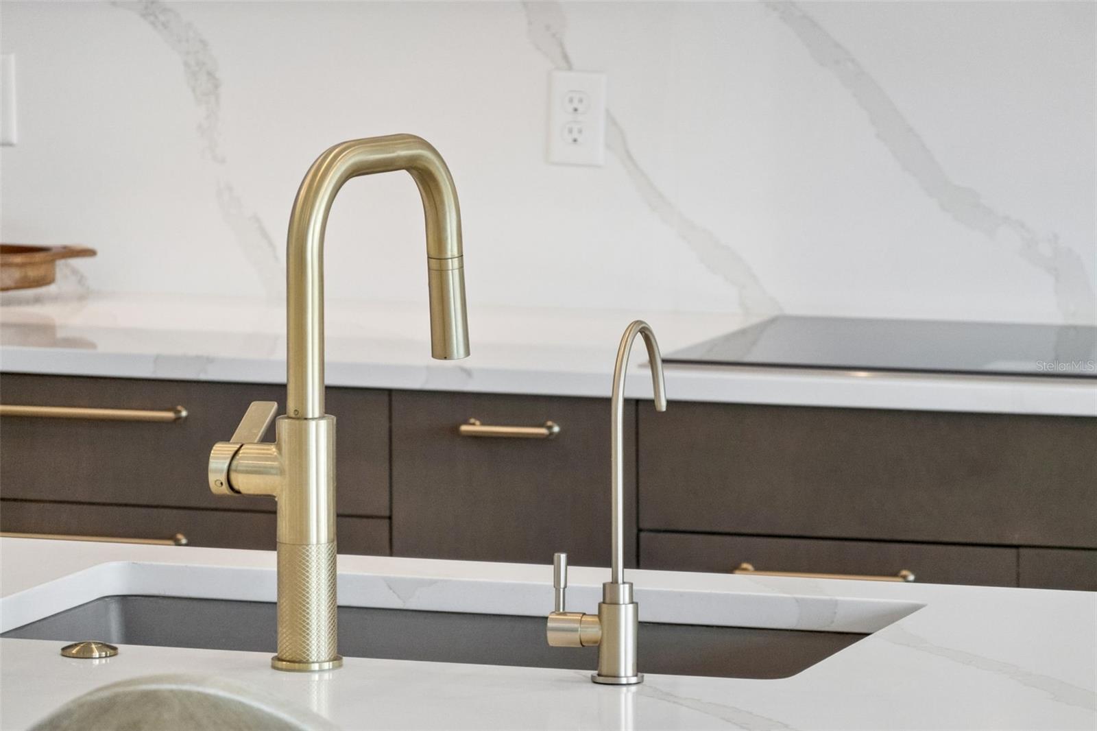 15220 PENDIO DR, BELLA COLLINA, FL, 34756