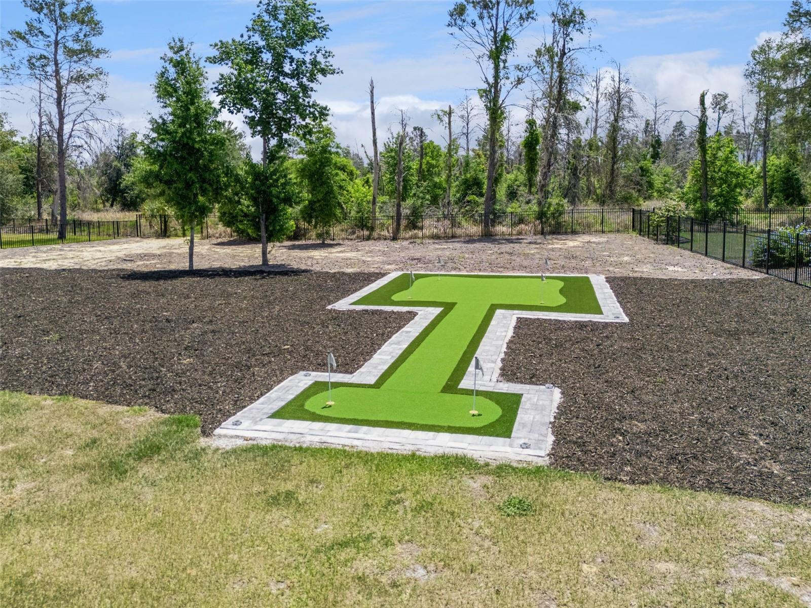 15220 PENDIO DR, BELLA COLLINA, FL, 34756