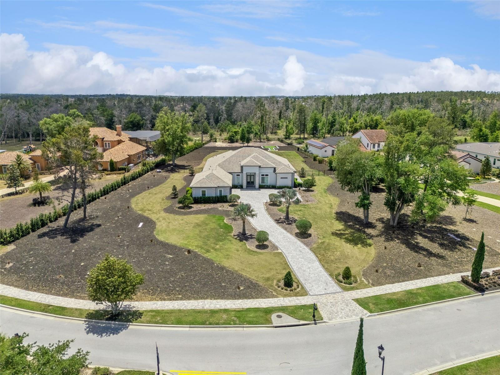 15220 PENDIO DR, BELLA COLLINA, FL, 34756