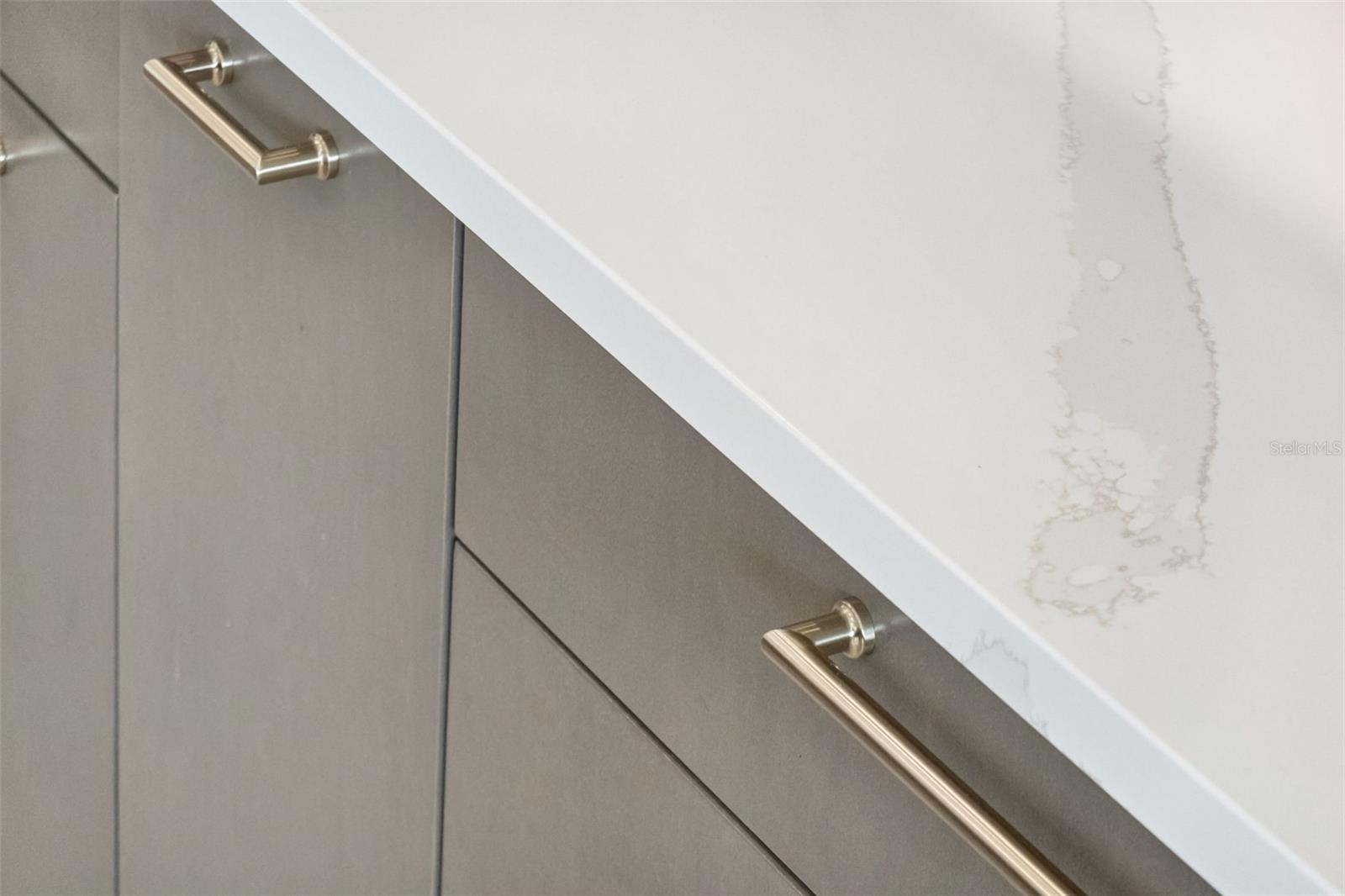 15220 PENDIO DR, BELLA COLLINA, FL, 34756