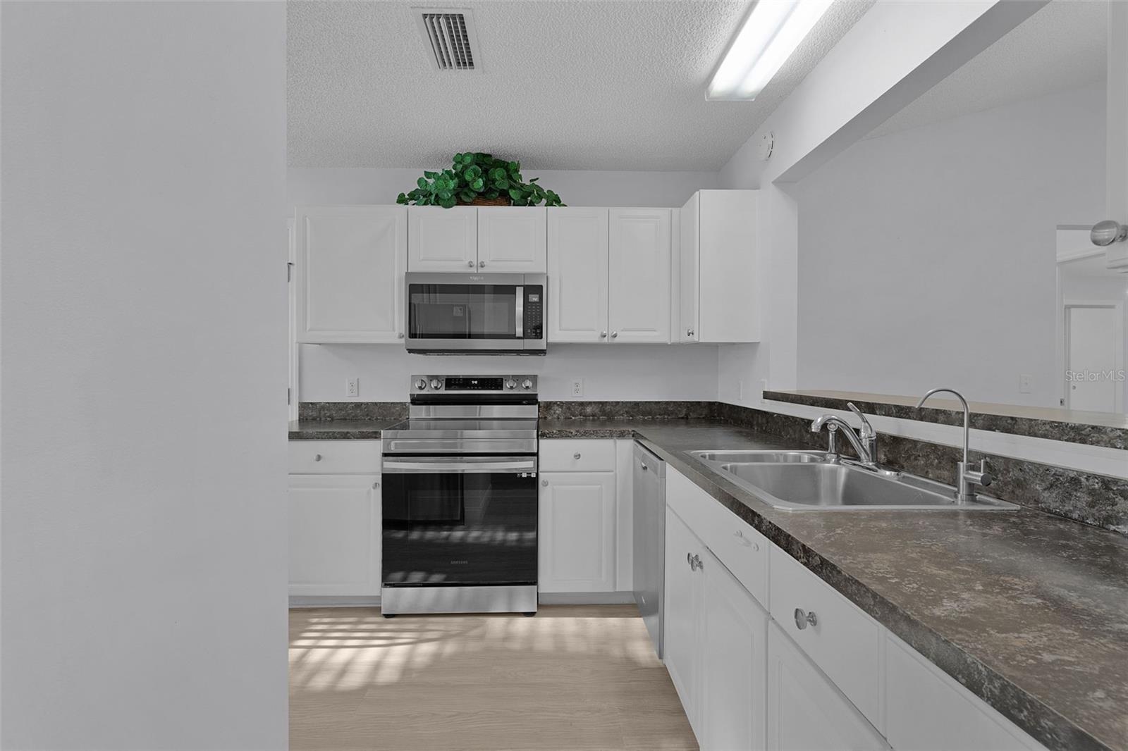 206 DESOTA CT, THE VILLAGES, FL, 32159