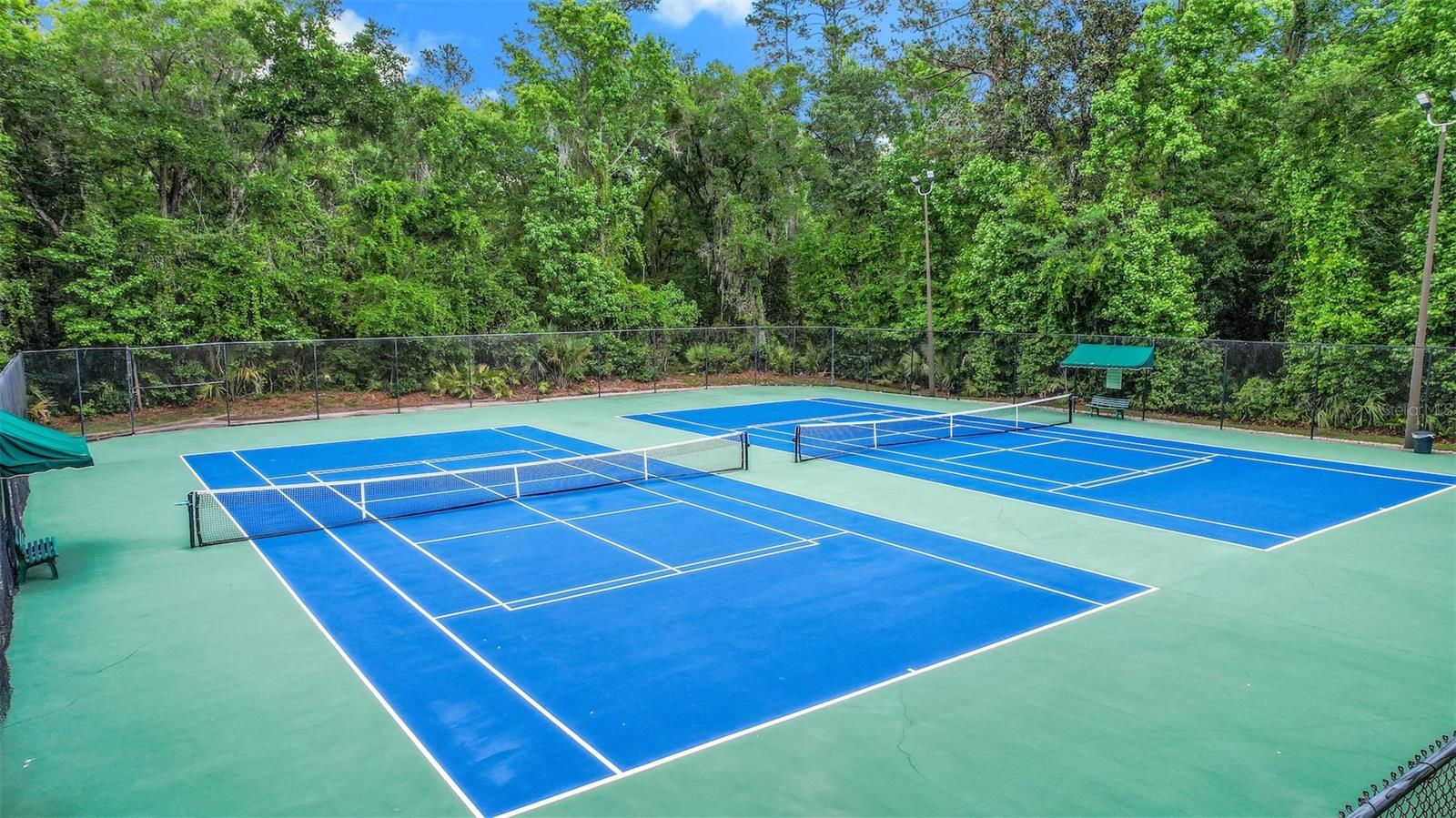 3862 GOLDEN MEADOW CT, OVIEDO, FL, 32765