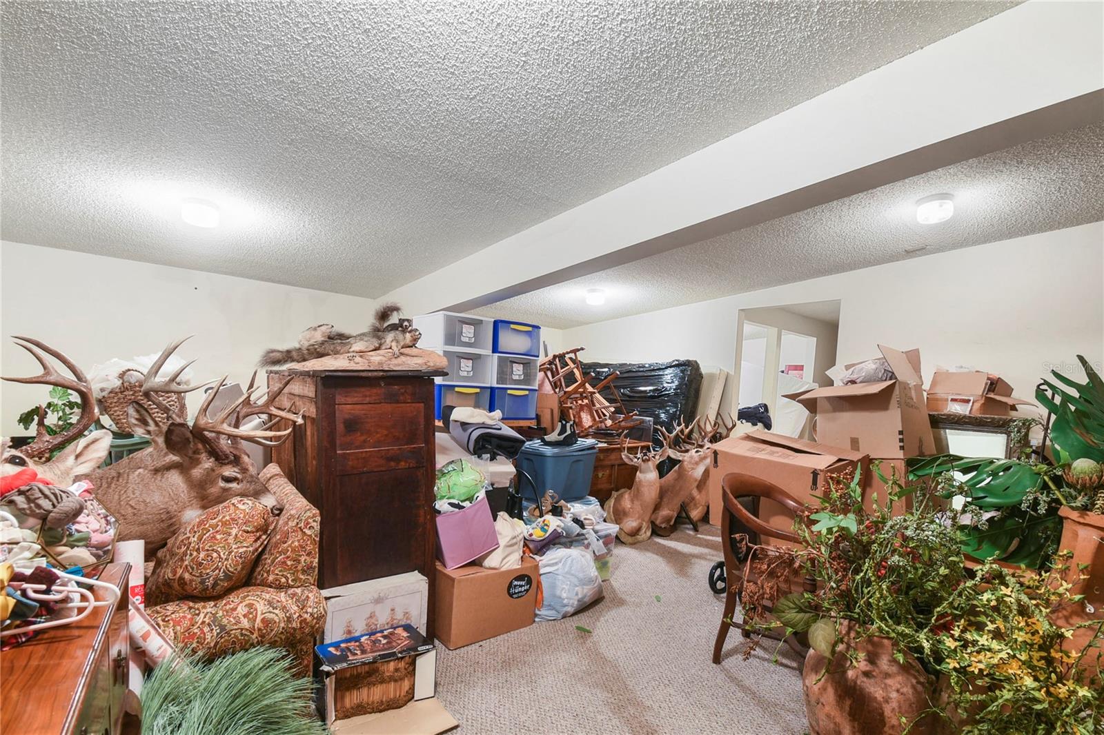 1324 MATTIE ST, ST AUGUSTINE, FL, 32084