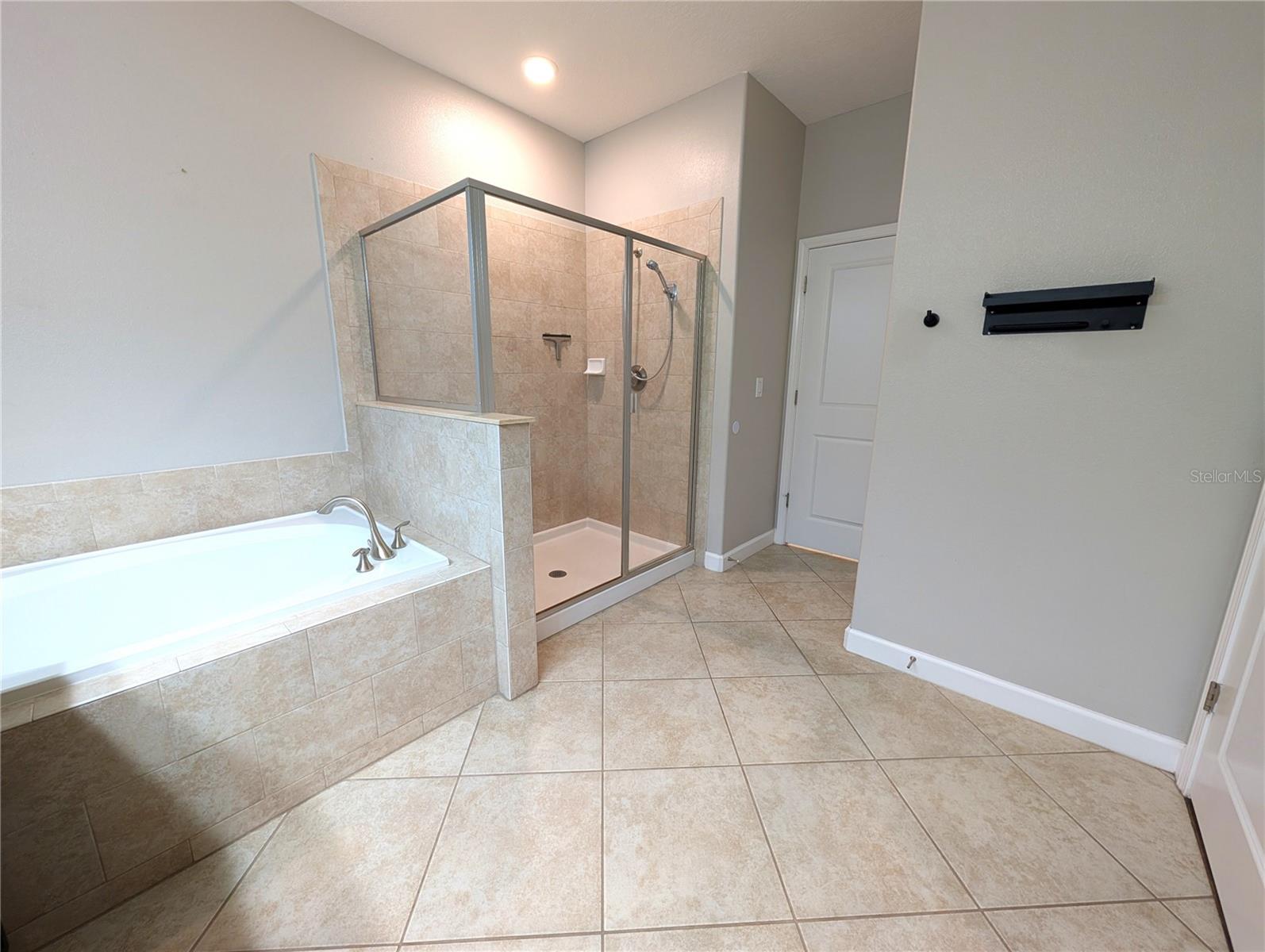 11024 LITTLE BLUE HERON DR, RIVERVIEW, FL, 33579