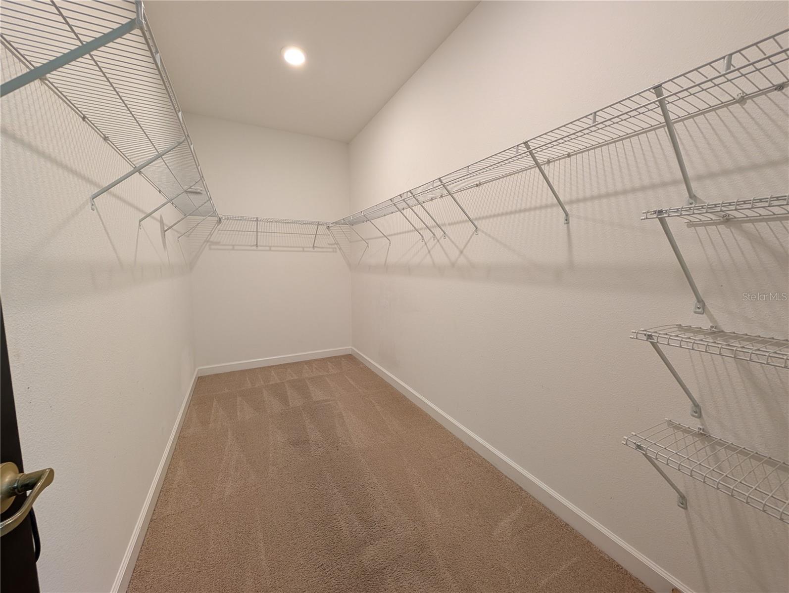 11024 LITTLE BLUE HERON DR, RIVERVIEW, FL, 33579