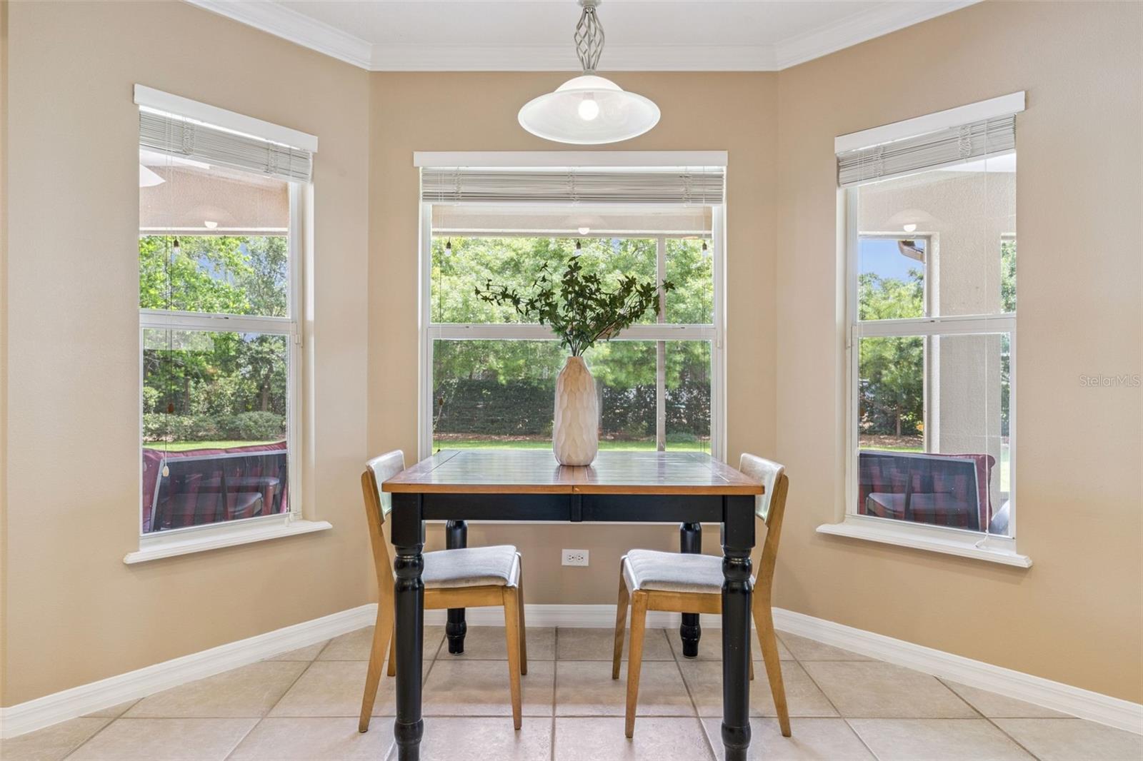 5203 HAMMOCK POINTE CT, ST CLOUD, FL, 34771