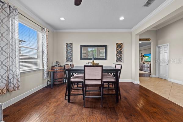 30201 HACKNEY LOOP, MOUNT DORA, FL, 32757