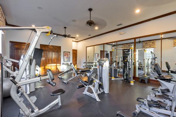 30201 HACKNEY LOOP, MOUNT DORA, FL, 32757