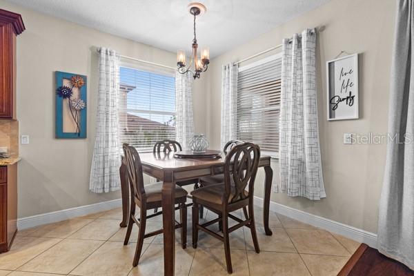 30201 HACKNEY LOOP, MOUNT DORA, FL, 32757