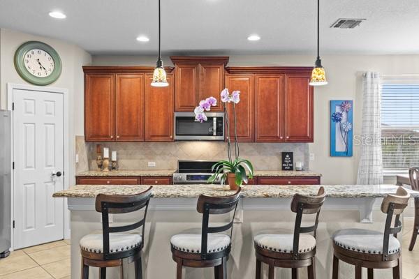 30201 HACKNEY LOOP, MOUNT DORA, FL, 32757