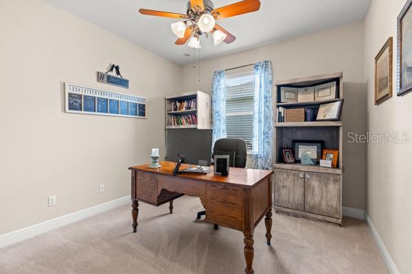 30201 HACKNEY LOOP, MOUNT DORA, FL, 32757