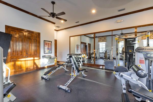 30201 HACKNEY LOOP, MOUNT DORA, FL, 32757