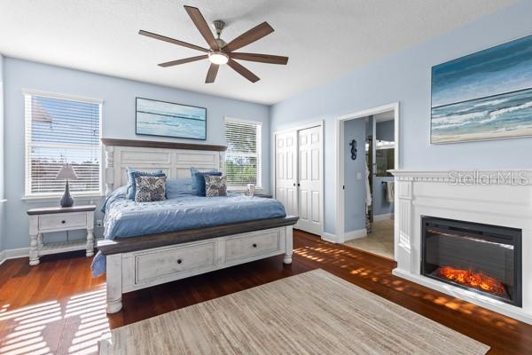 30201 HACKNEY LOOP, MOUNT DORA, FL, 32757