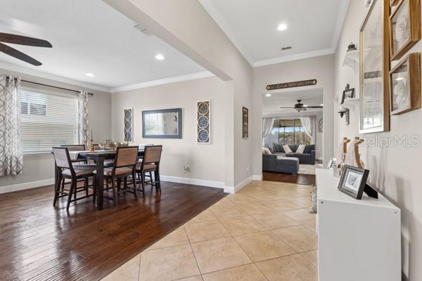 30201 HACKNEY LOOP, MOUNT DORA, FL, 32757