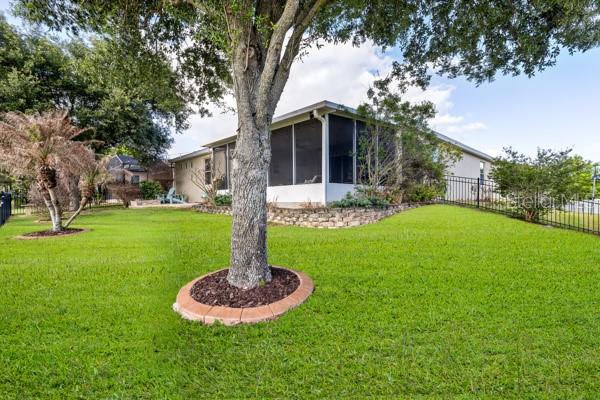 30201 HACKNEY LOOP, MOUNT DORA, FL, 32757