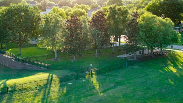 30201 HACKNEY LOOP, MOUNT DORA, FL, 32757