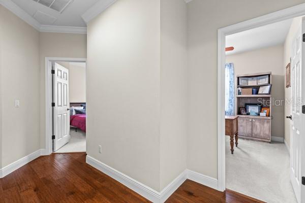 30201 HACKNEY LOOP, MOUNT DORA, FL, 32757