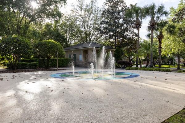 30201 HACKNEY LOOP, MOUNT DORA, FL, 32757