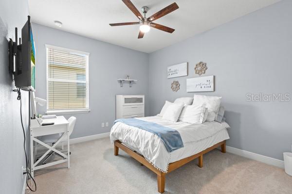 30201 HACKNEY LOOP, MOUNT DORA, FL, 32757