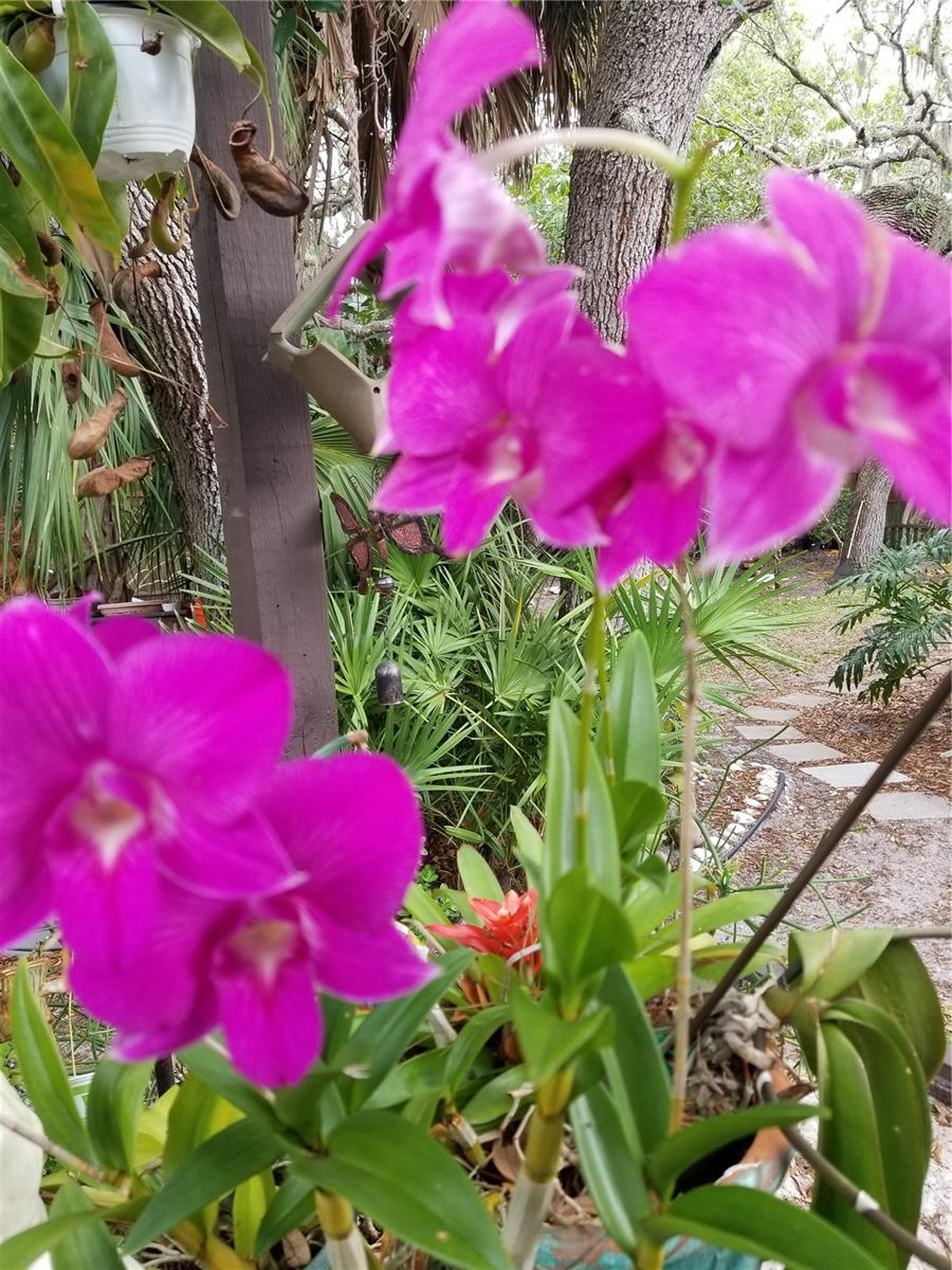 1720 FOSSIL DR, ENGLEWOOD, FL, 34223