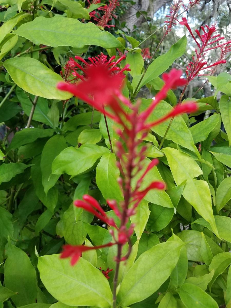 1720 FOSSIL DR, ENGLEWOOD, FL, 34223