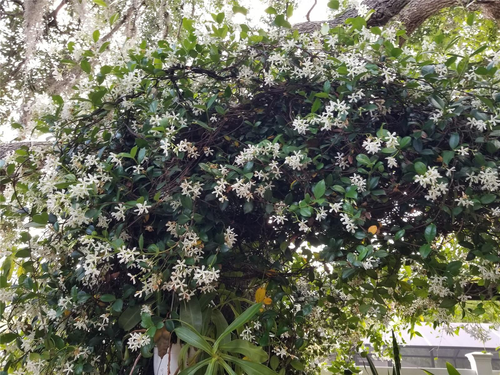 1720 FOSSIL DR, ENGLEWOOD, FL, 34223