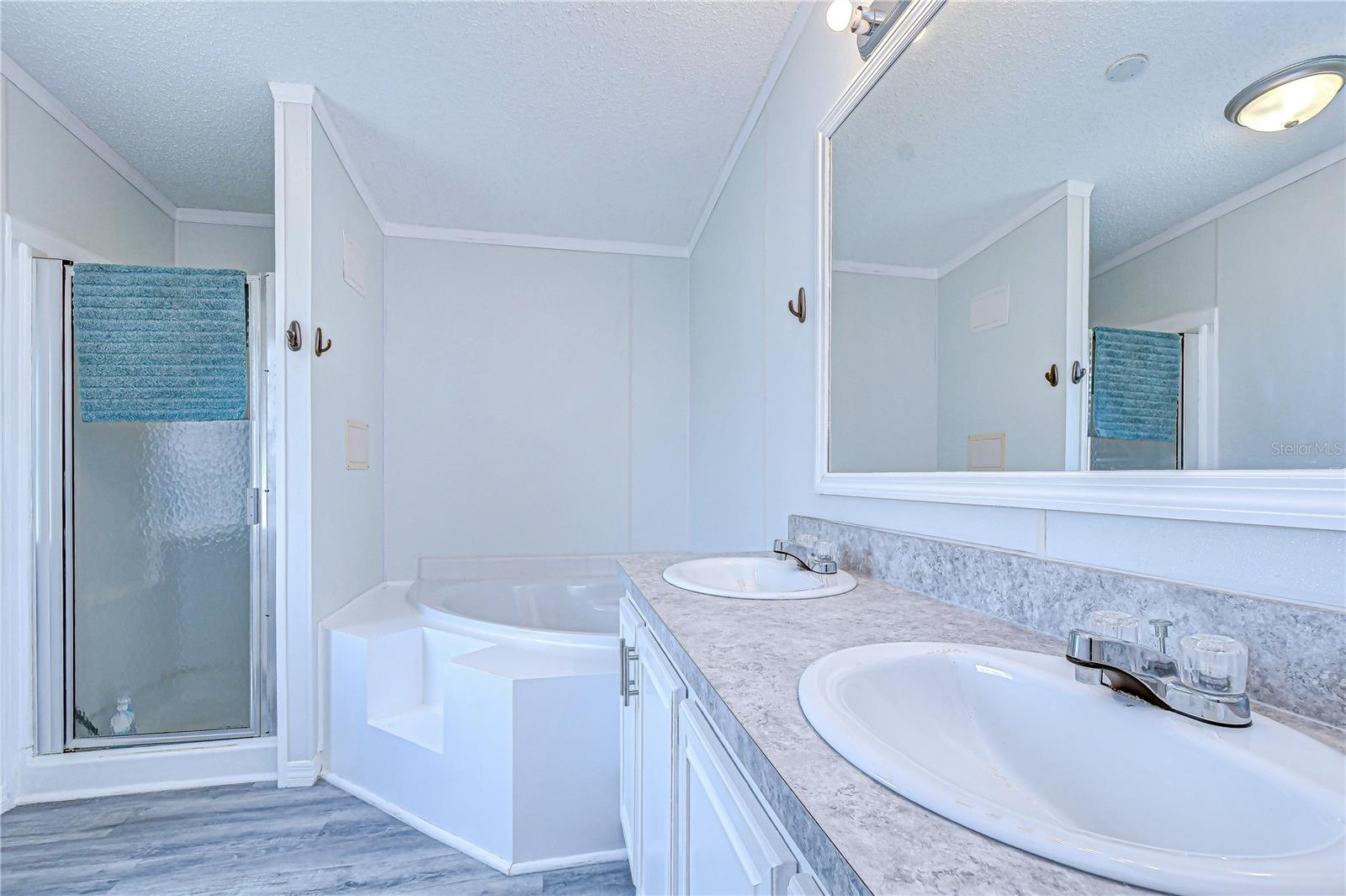 3118 SHADY CREEK DR, WESLEY CHAPEL, FL, 33543