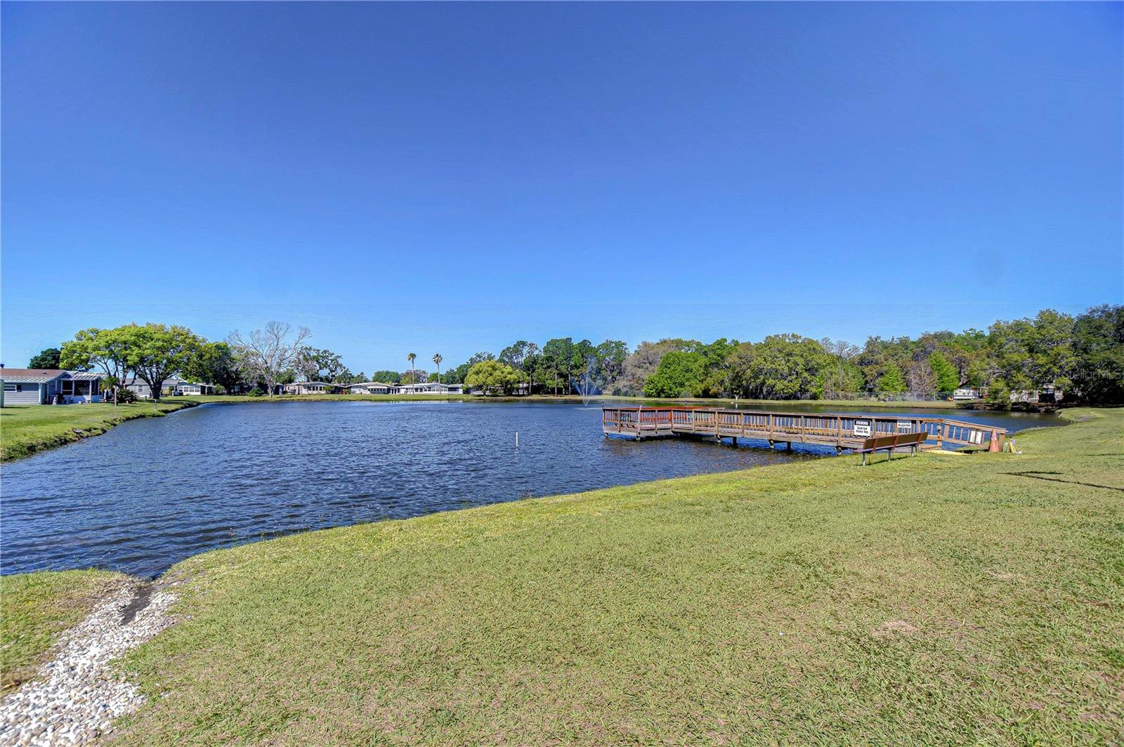 3118 SHADY CREEK DR, WESLEY CHAPEL, FL, 33543
