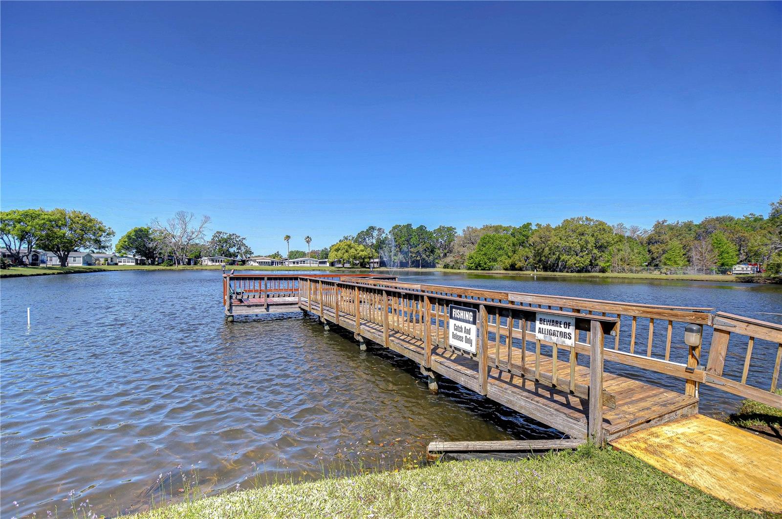 3118 SHADY CREEK DR, WESLEY CHAPEL, FL, 33543