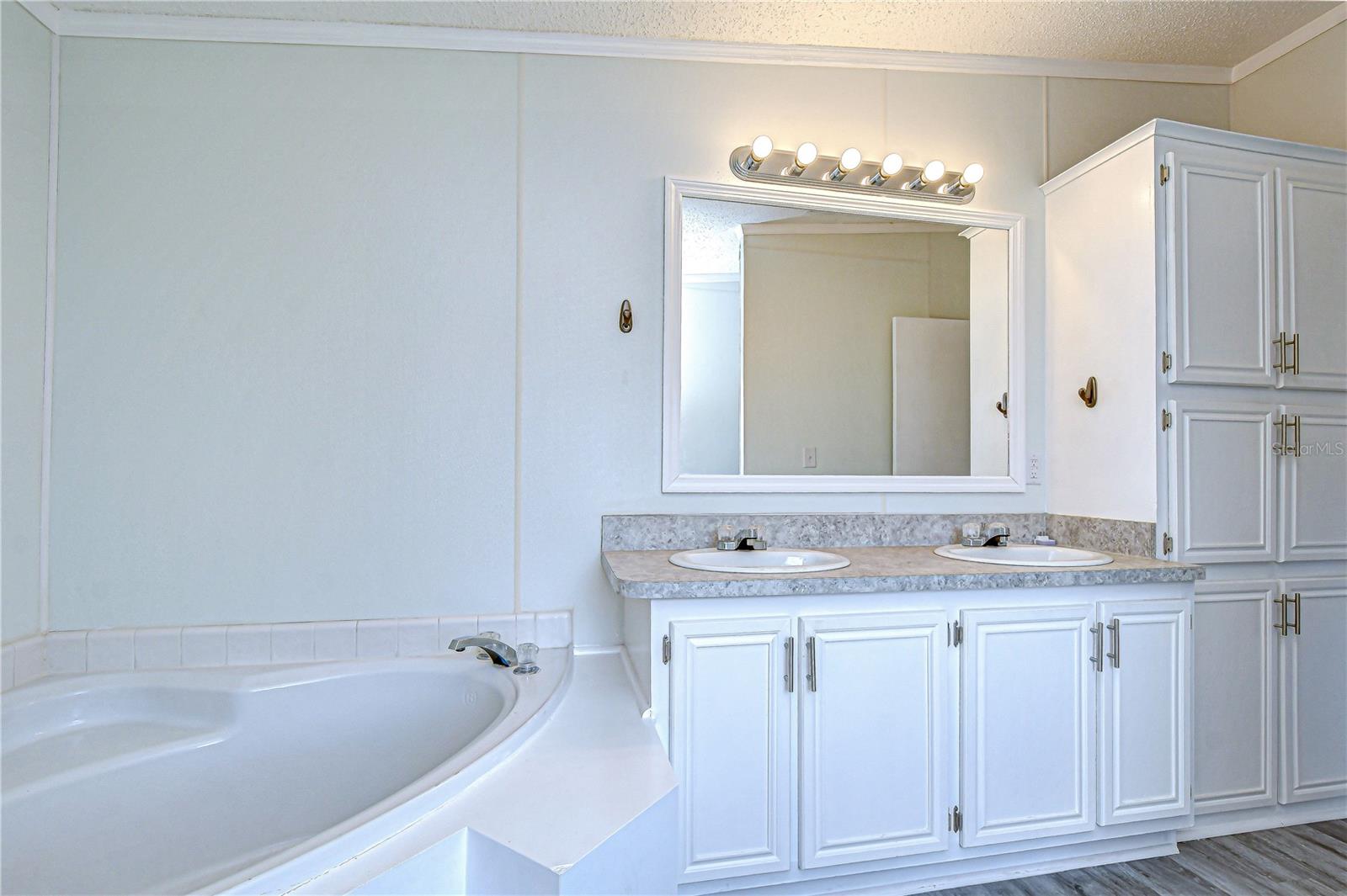 3118 SHADY CREEK DR, WESLEY CHAPEL, FL, 33543