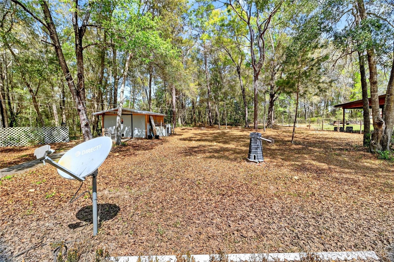 14395 NE 50TH PL, WILLISTON, FL, 32696