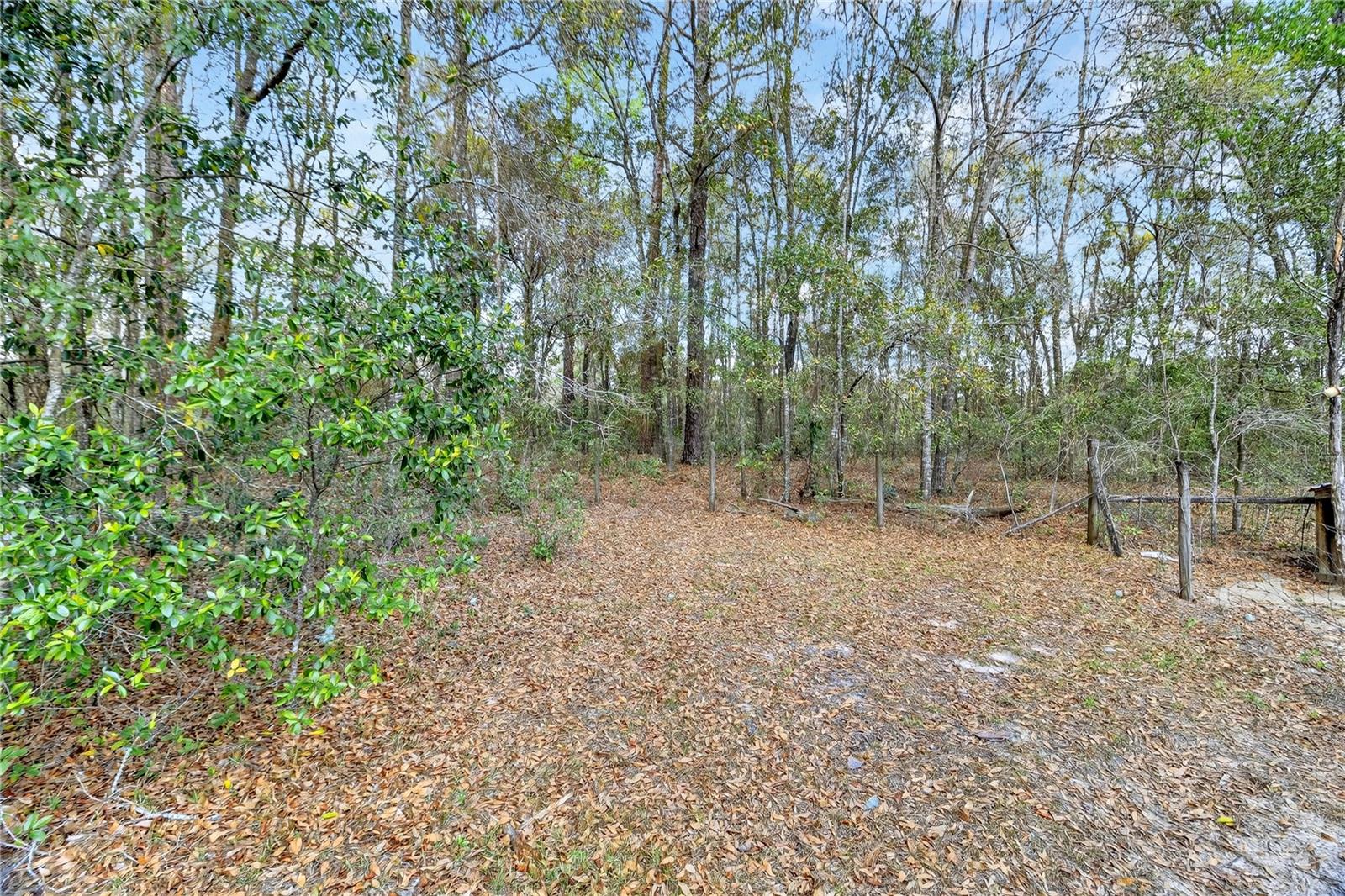 14395 NE 50TH PL, WILLISTON, FL, 32696