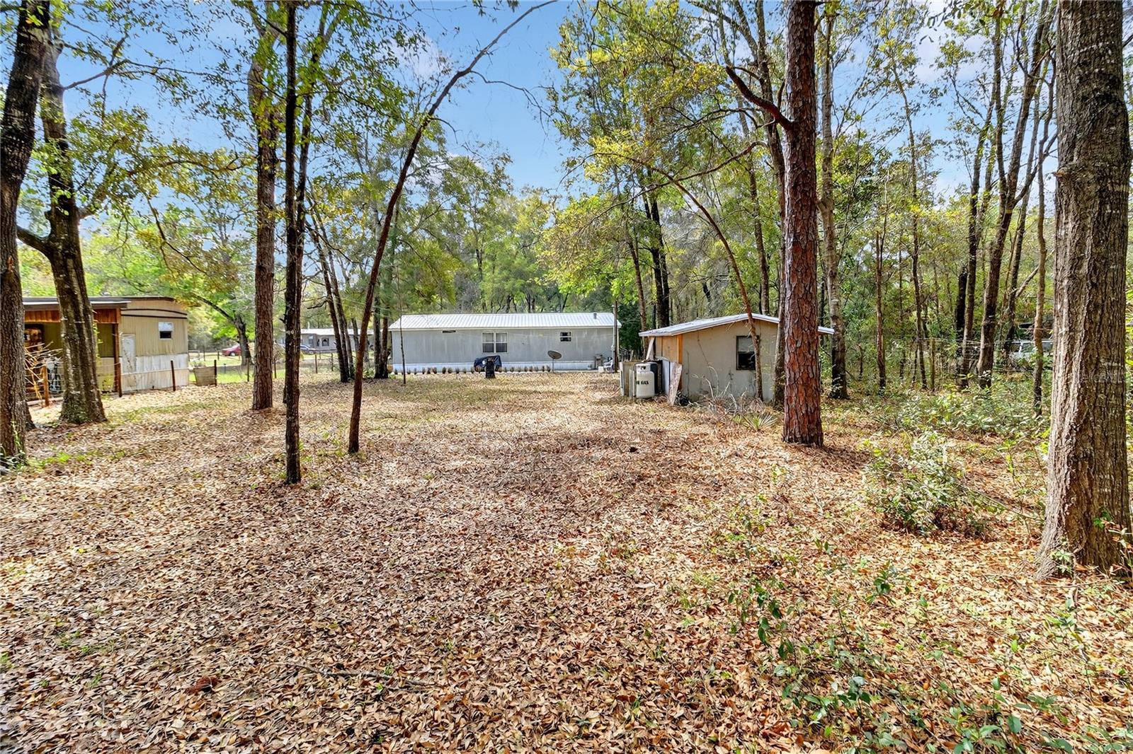 14395 NE 50TH PL, WILLISTON, FL, 32696