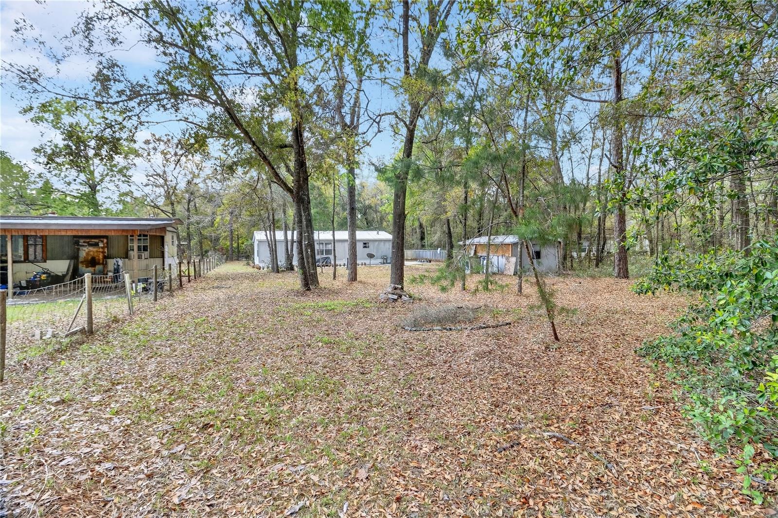 14395 NE 50TH PL, WILLISTON, FL, 32696