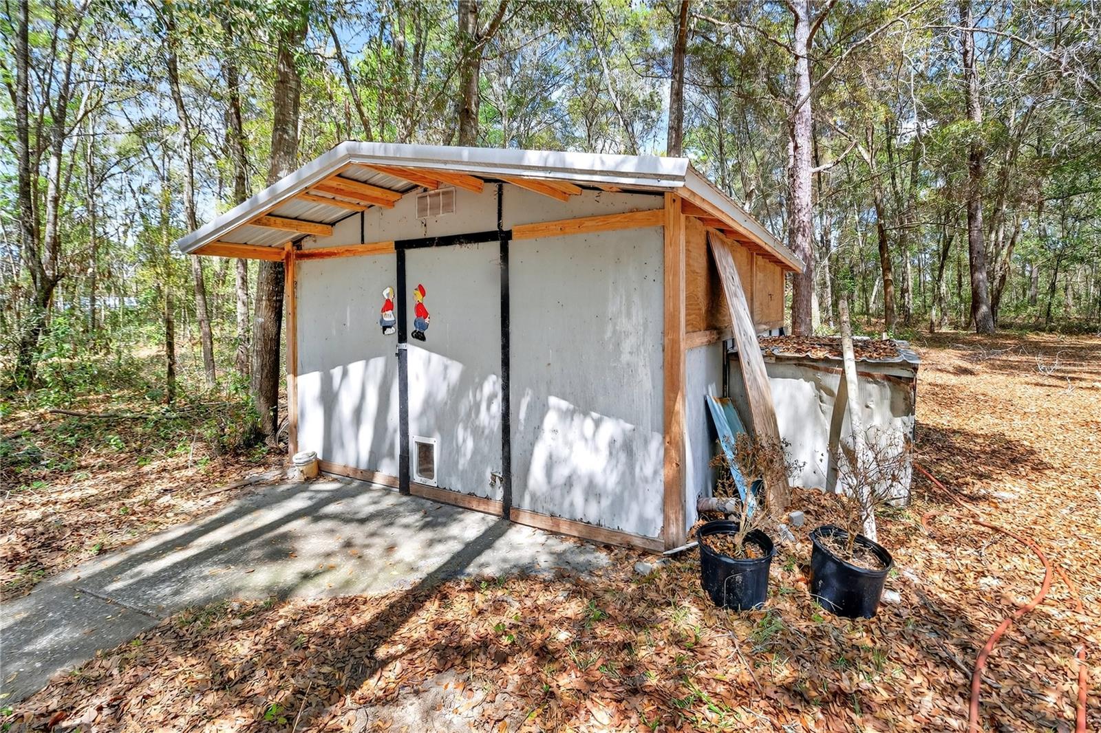 14395 NE 50TH PL, WILLISTON, FL, 32696